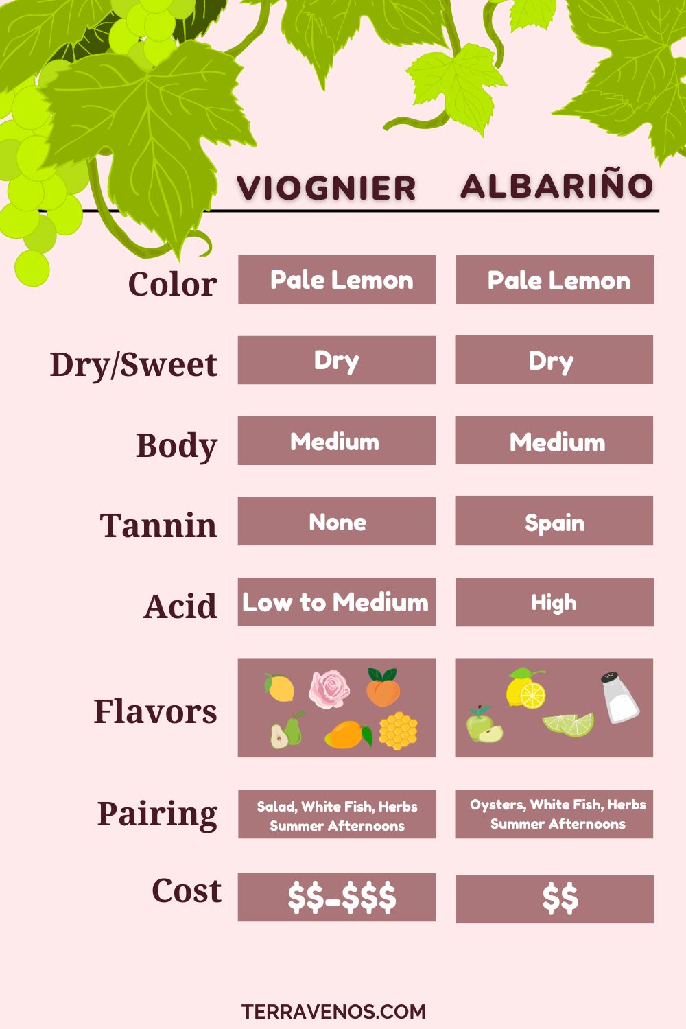 albarino-vs-viognier-wine-infographic-comparison