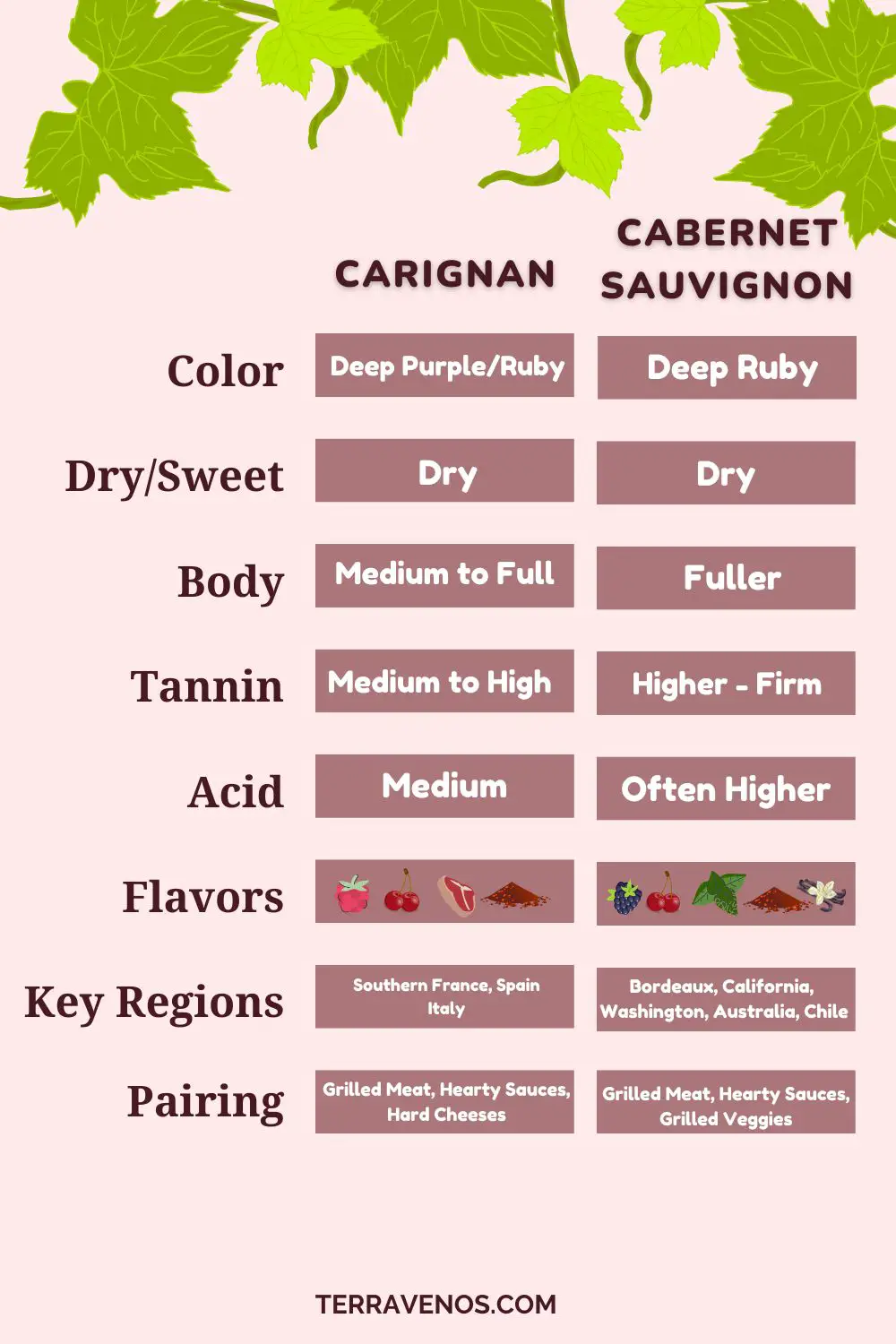 carignan-vs-cabernet-sauvignon-comparison-infographic