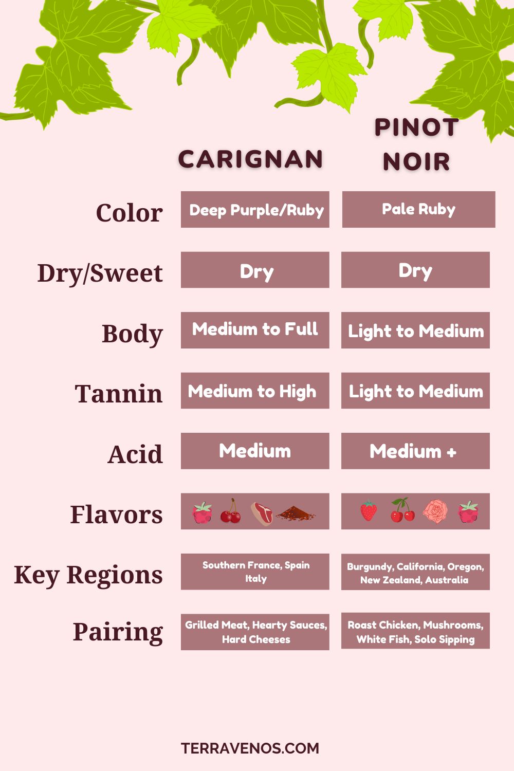 carignan-vs-pinot-noir-comparison-infographic