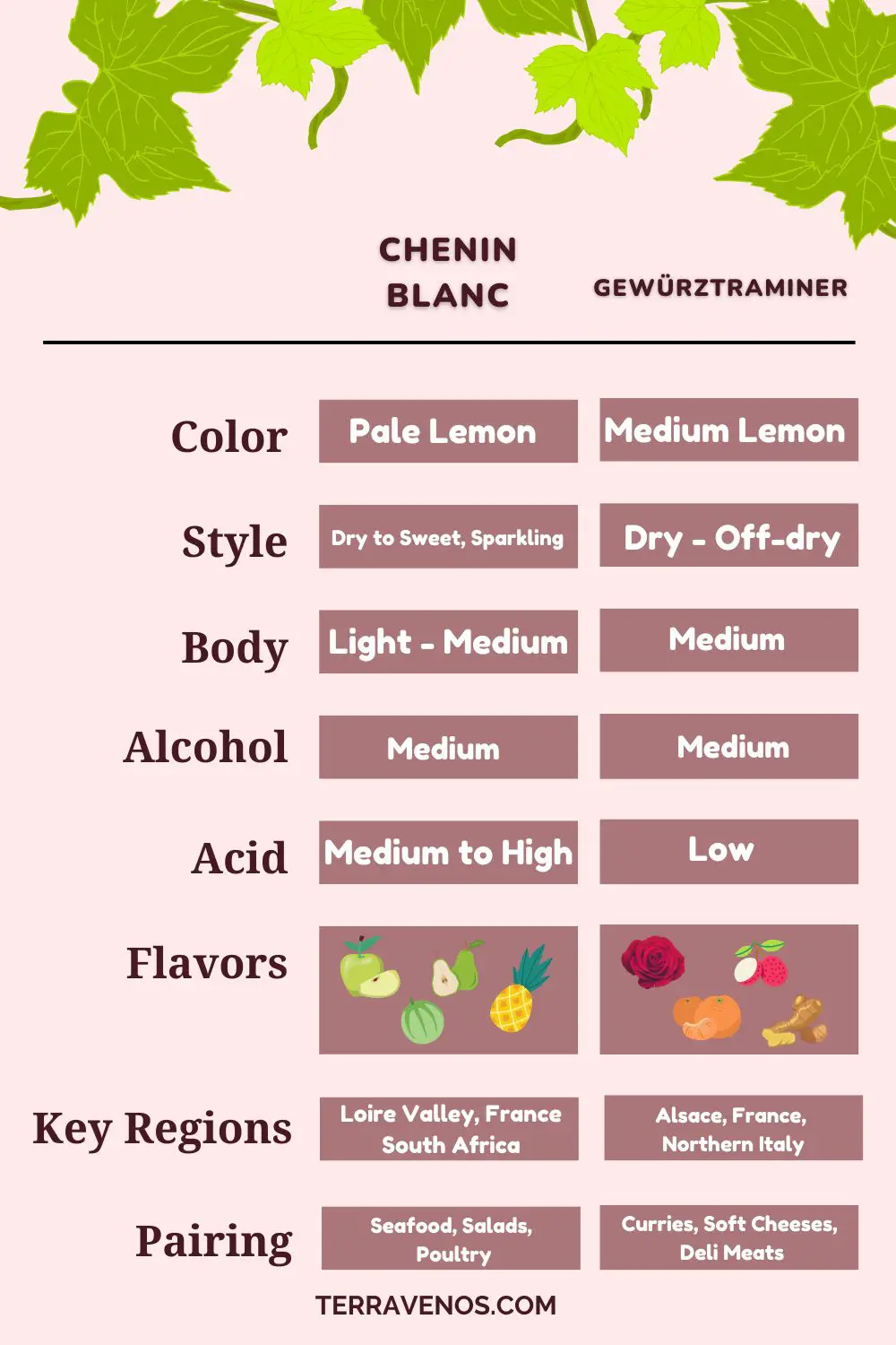 chenin Blanc vs gewurztraminer wine comparison infographic