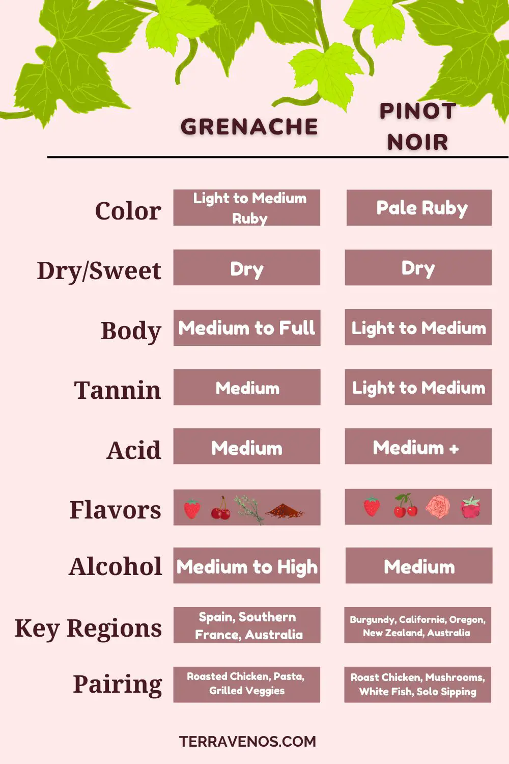 grenache vs pinot noir wine comparison infographic
