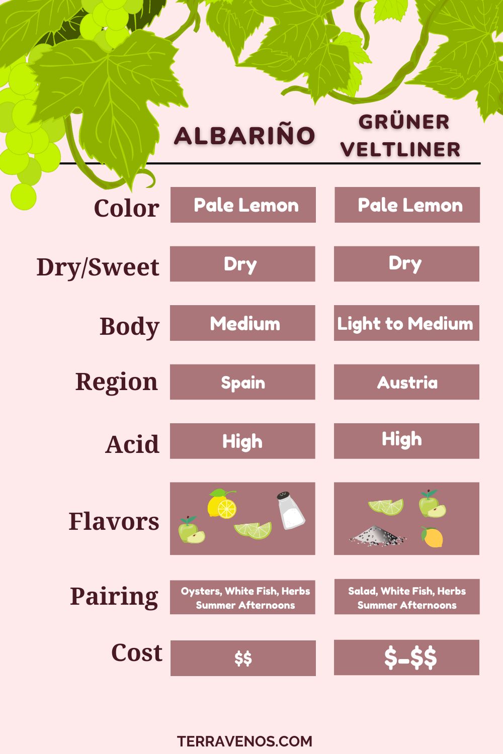 albarino-vs-gruner-veltliner-wine-comparison-infographic