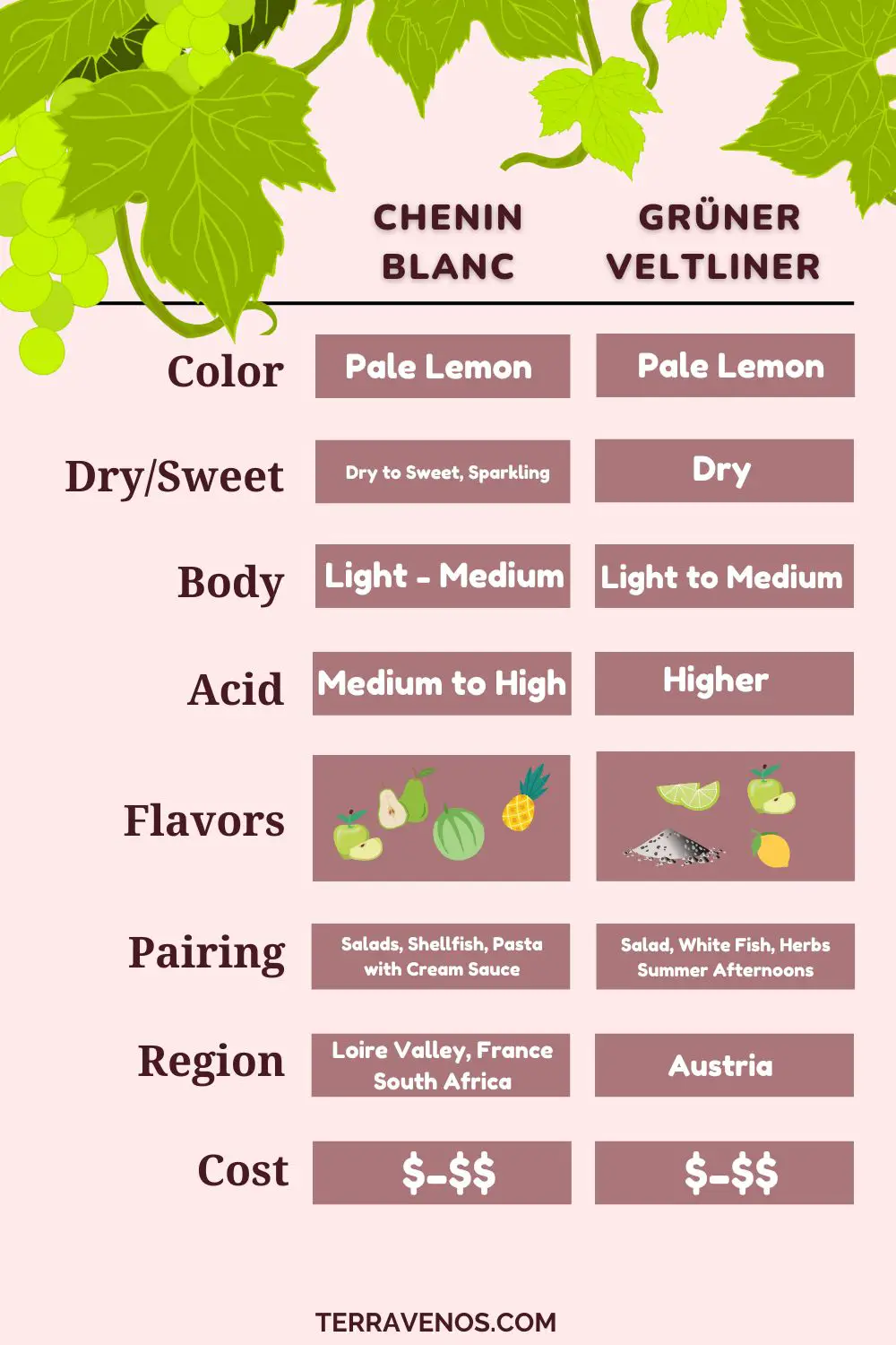 gruner veltliner vs chenin blanc wine infographic