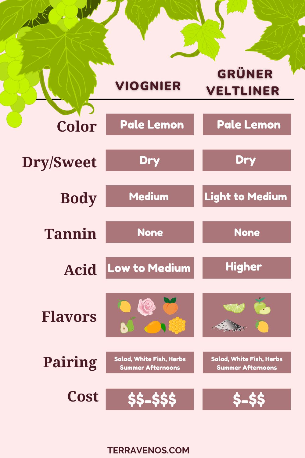gruner veltliner vs viogneir wine infographic - comparison