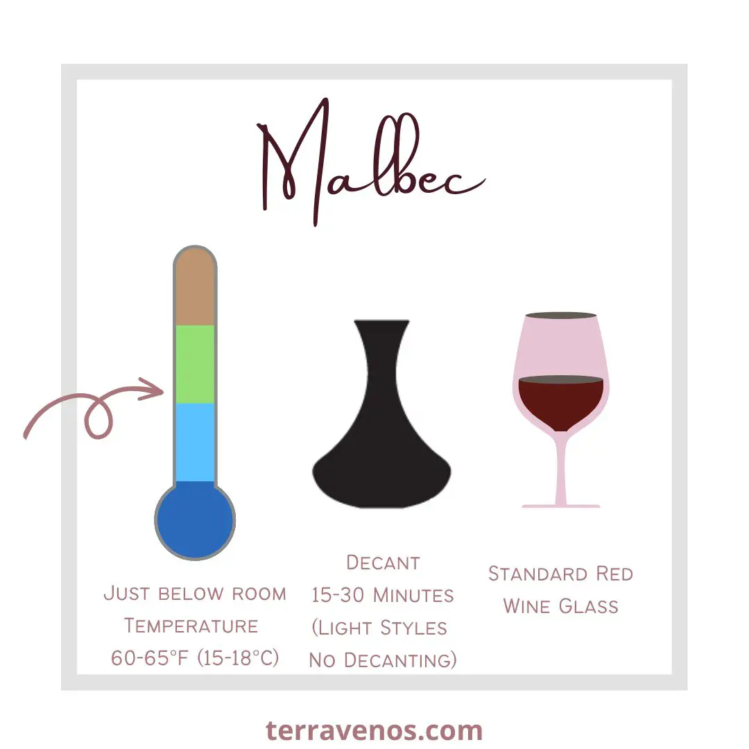 how to serve malbec wine infographic