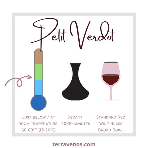 how to serve petit verdot wine infographic - glass, temperature, decanting