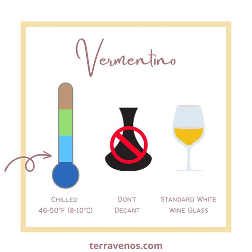 how to serve vermentino wine infographic - vermentino wine guide