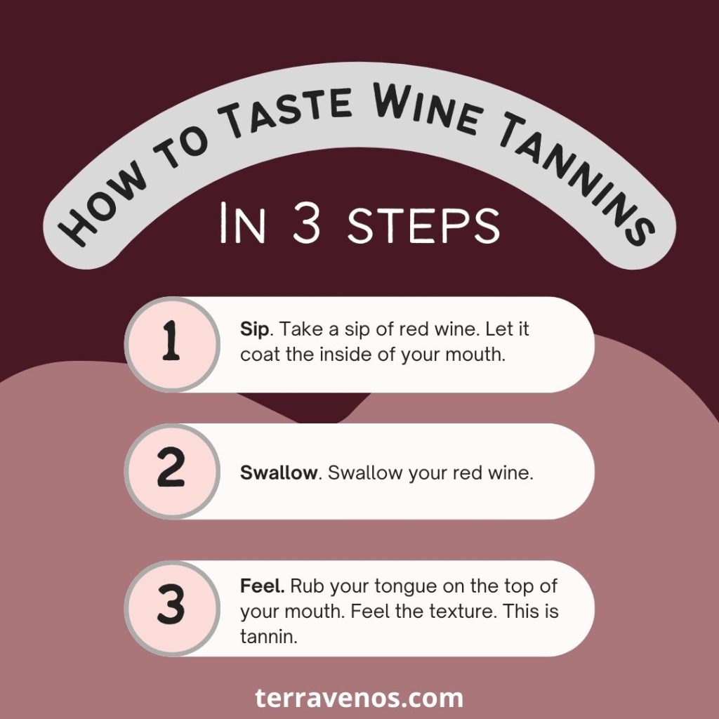 30 Second Tasting Tip: How To Taste Wine Tannins