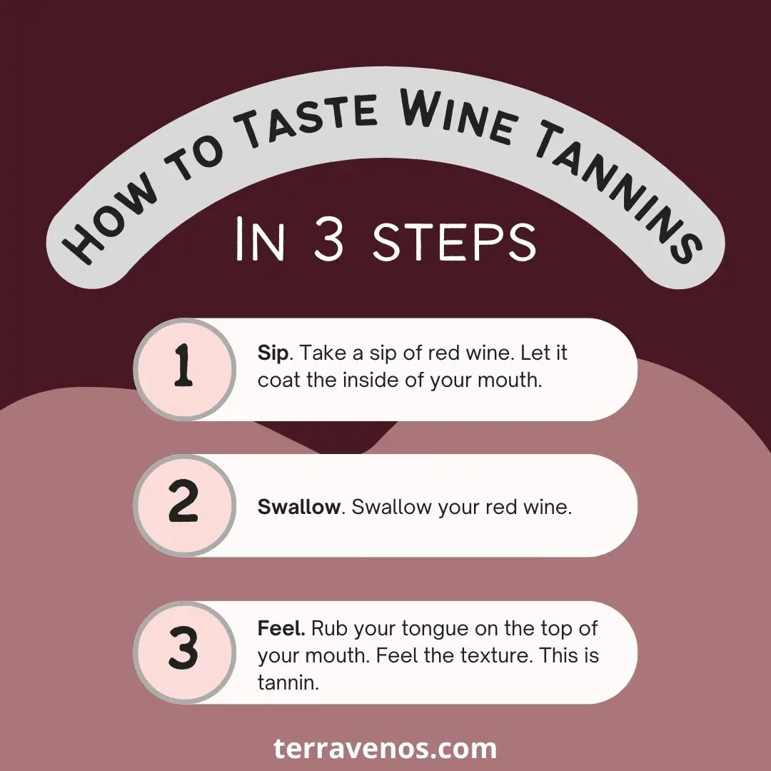 how to taste wine tannins infographic - 3 easy steps.