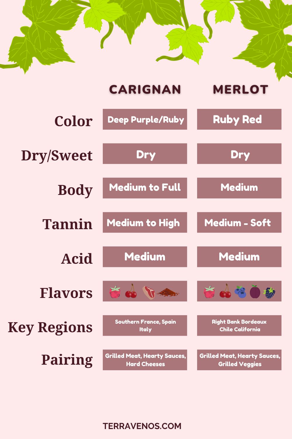 merlot-vs-carignan-wine-profile-infographic