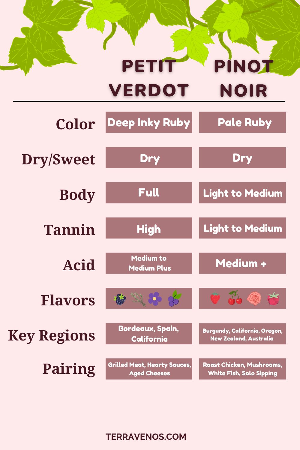 petit-verdot-vs-pinot-noir-wine-comparison-infographic