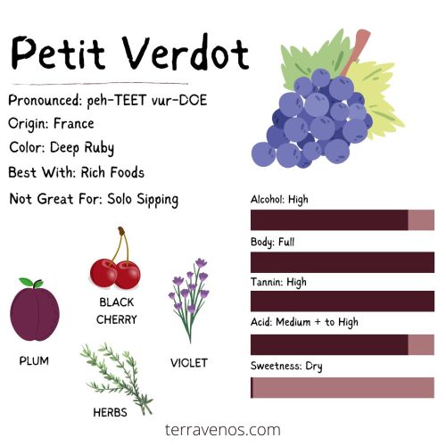 petit verdot vs petite sirah - what does petit verdot wine taste like infographic