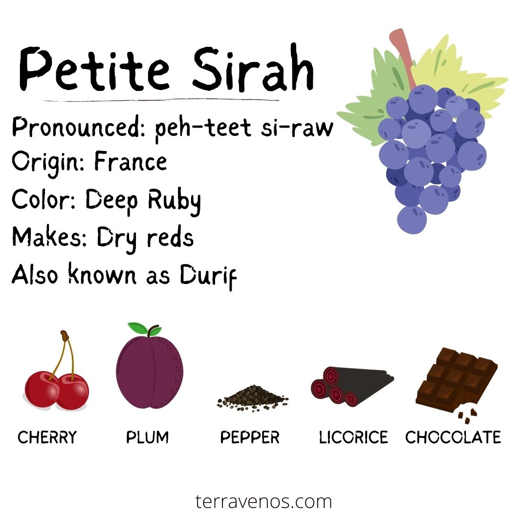 petite sirah wine profile infographic - merlot vs petite sirah