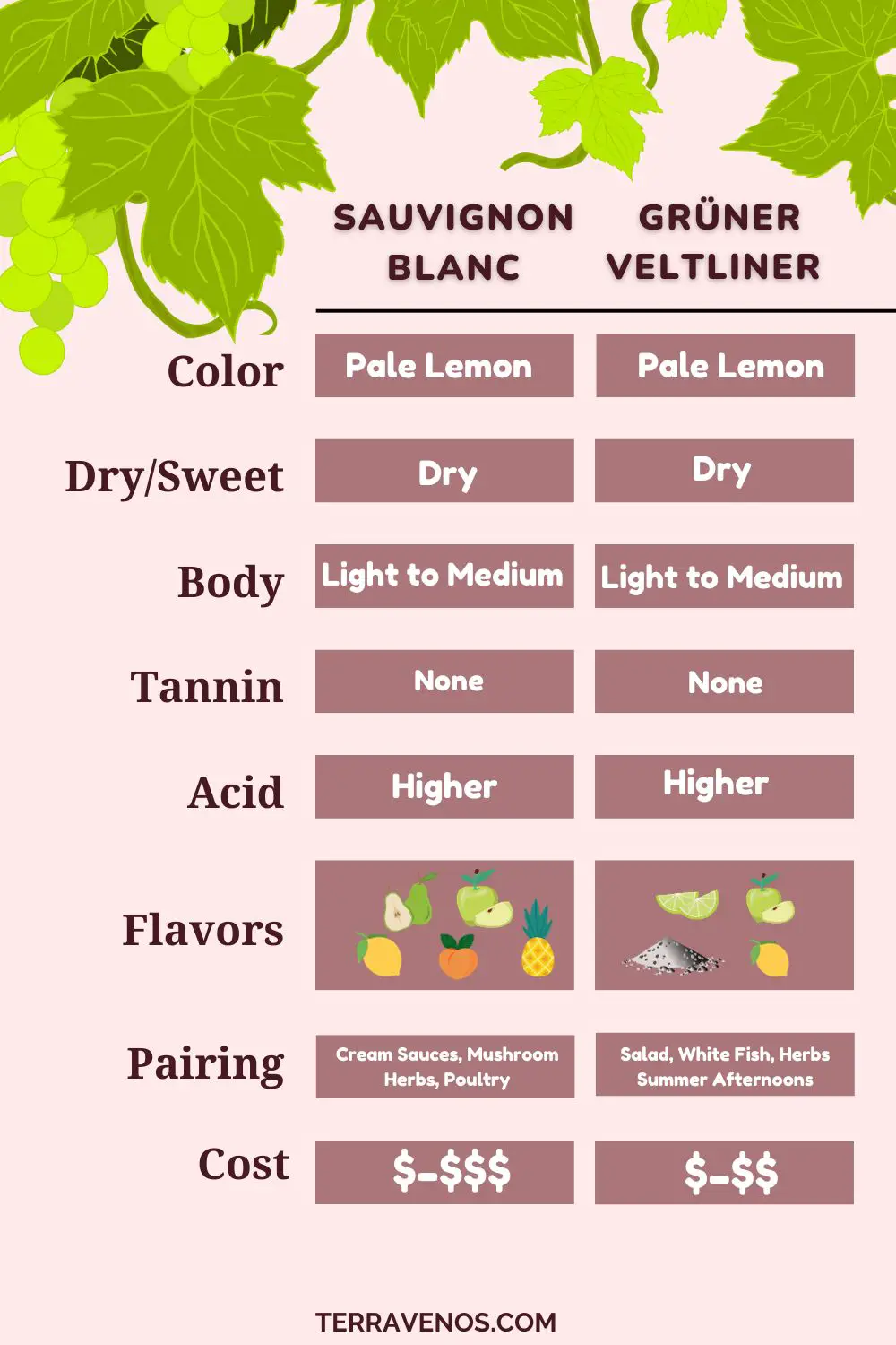 sauvignon blanc vs gruner veltliner comparison infographic