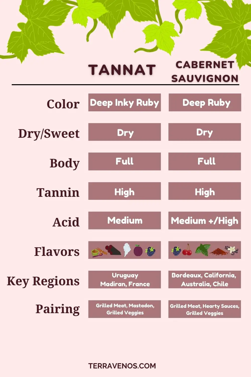 tannat-vs-cabernet-sauvignon-wine-comparison-infographic