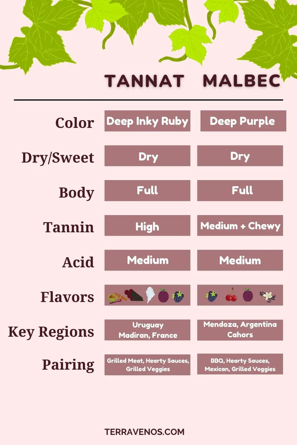 tannat vs malbec wine infographic