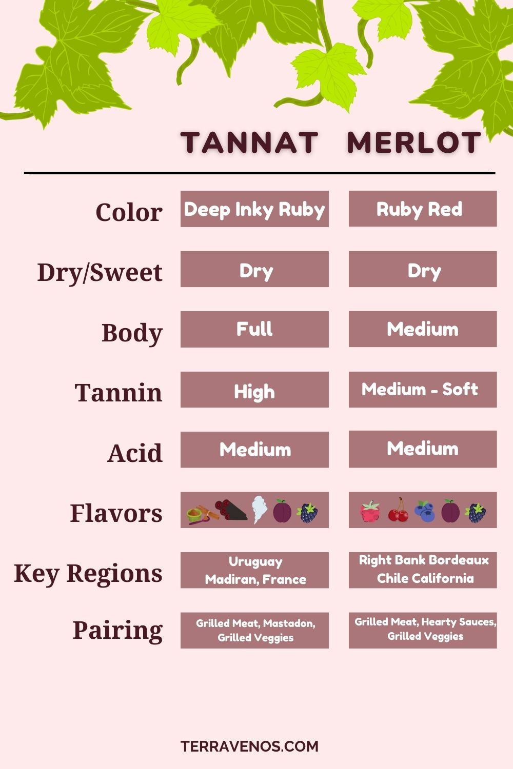 tannat-vs-merlot-wine-comparison-infographic