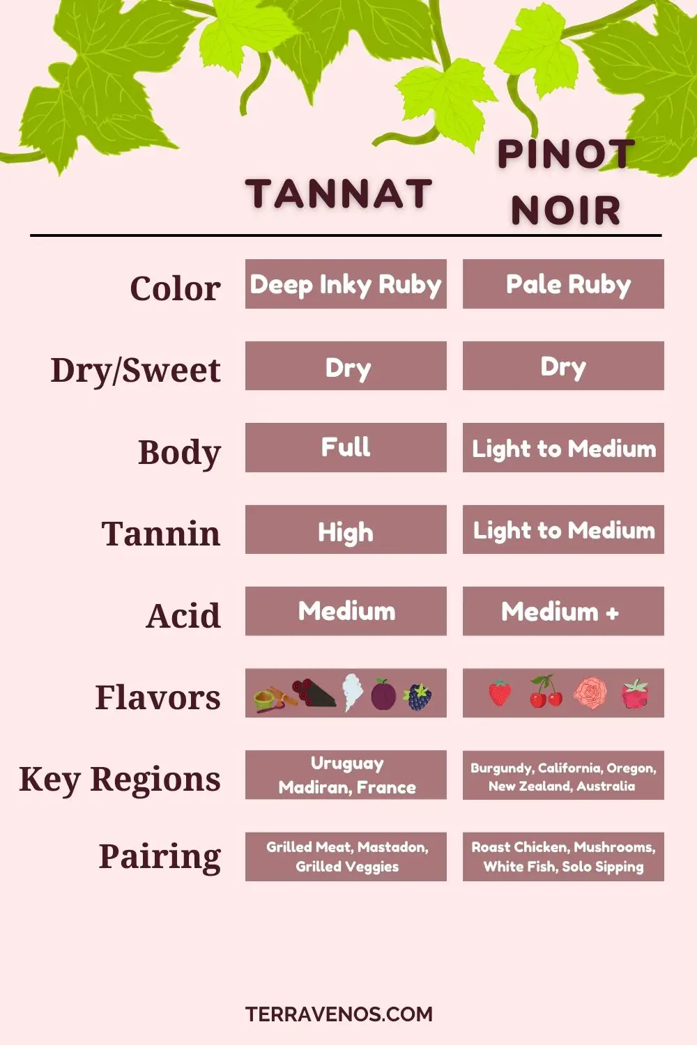 tannat-vs-pinot-noir-wine-comparison-infographic