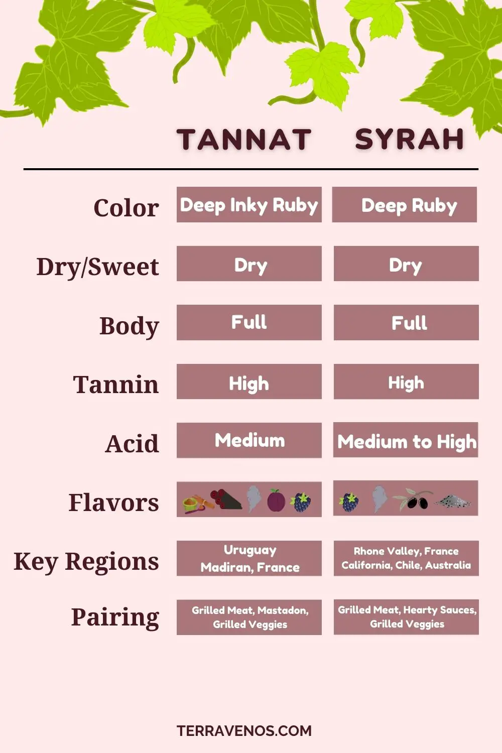 tannat-vs-syrah-wine-comparison-infographic