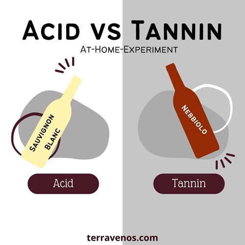 acid-vs-tannin-experiment-infographic-sauvignon-blanc-nebbiolo