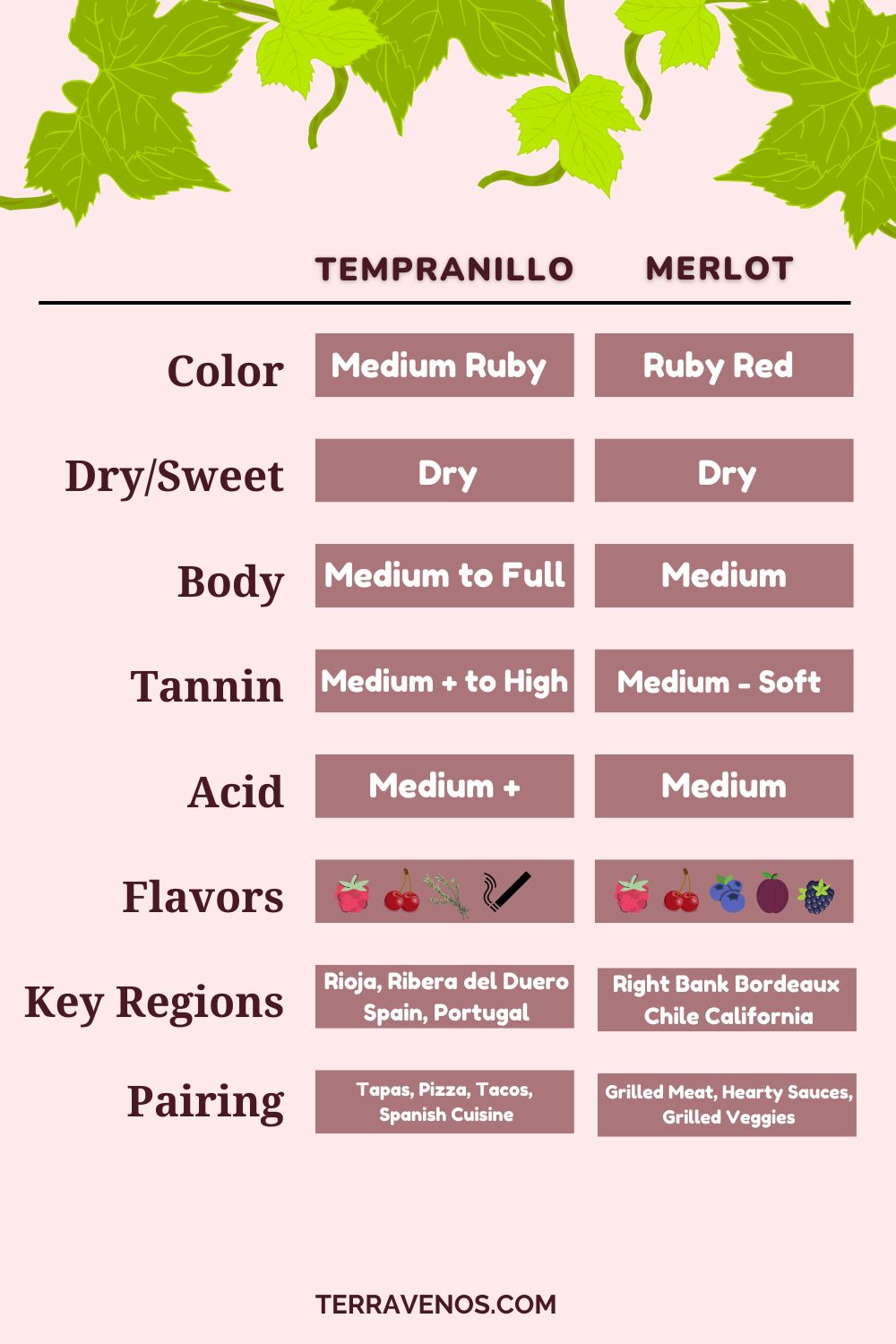 tempranillo-vs-merlot-wine-comparison-infographic