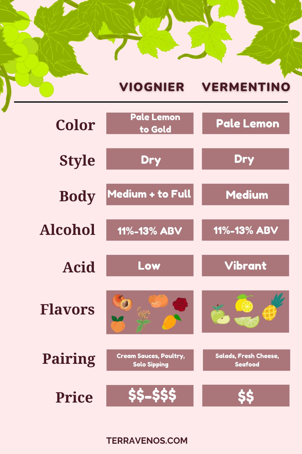 viognier vs vermentino wine comparison infographic