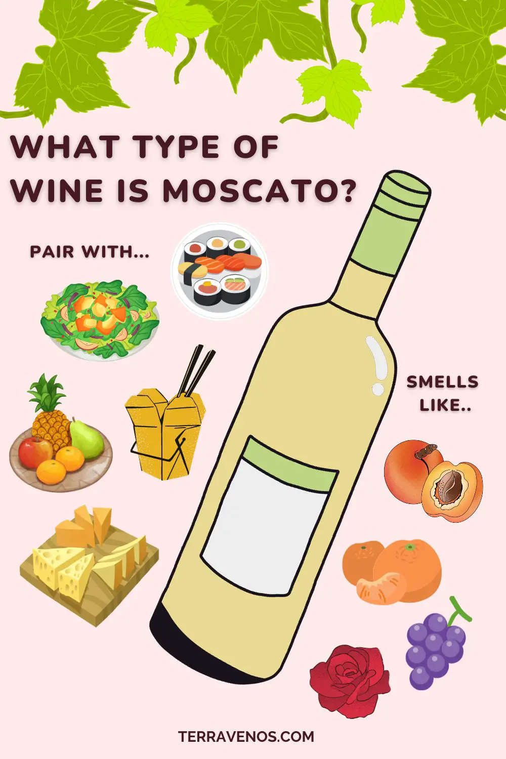 what type of wine is moscaot - moscato wine pairing and flavor infographic