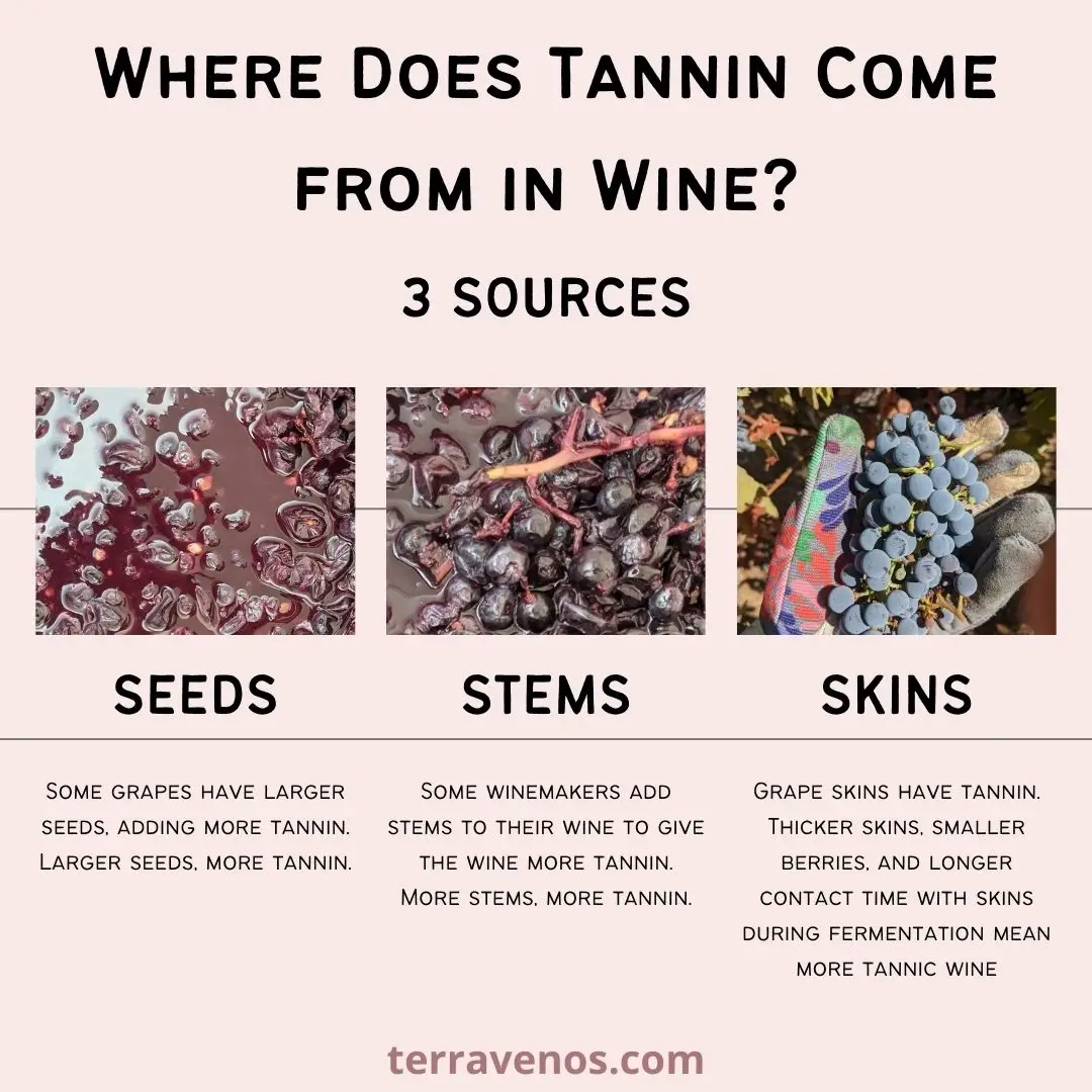 where-does-tannin-come-from-in-wine-infographic -red-wine-tannin-chart