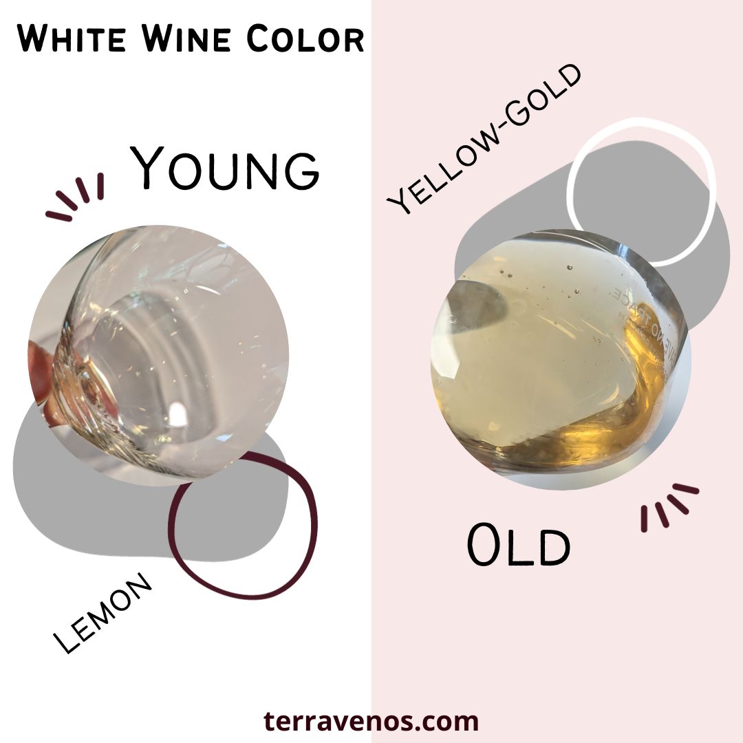 whtie wine turned yellow-infographic