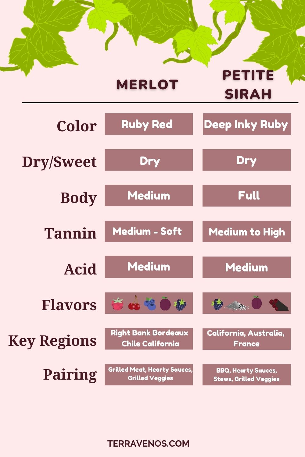 merlot-vs-petite-sirah-wine-comparison-infographic