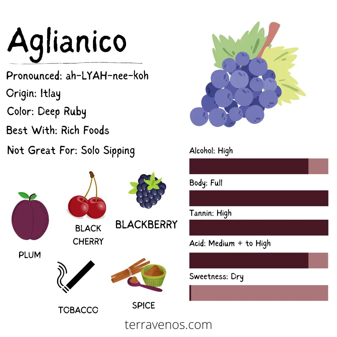 aglianico-wine-profile-infographic