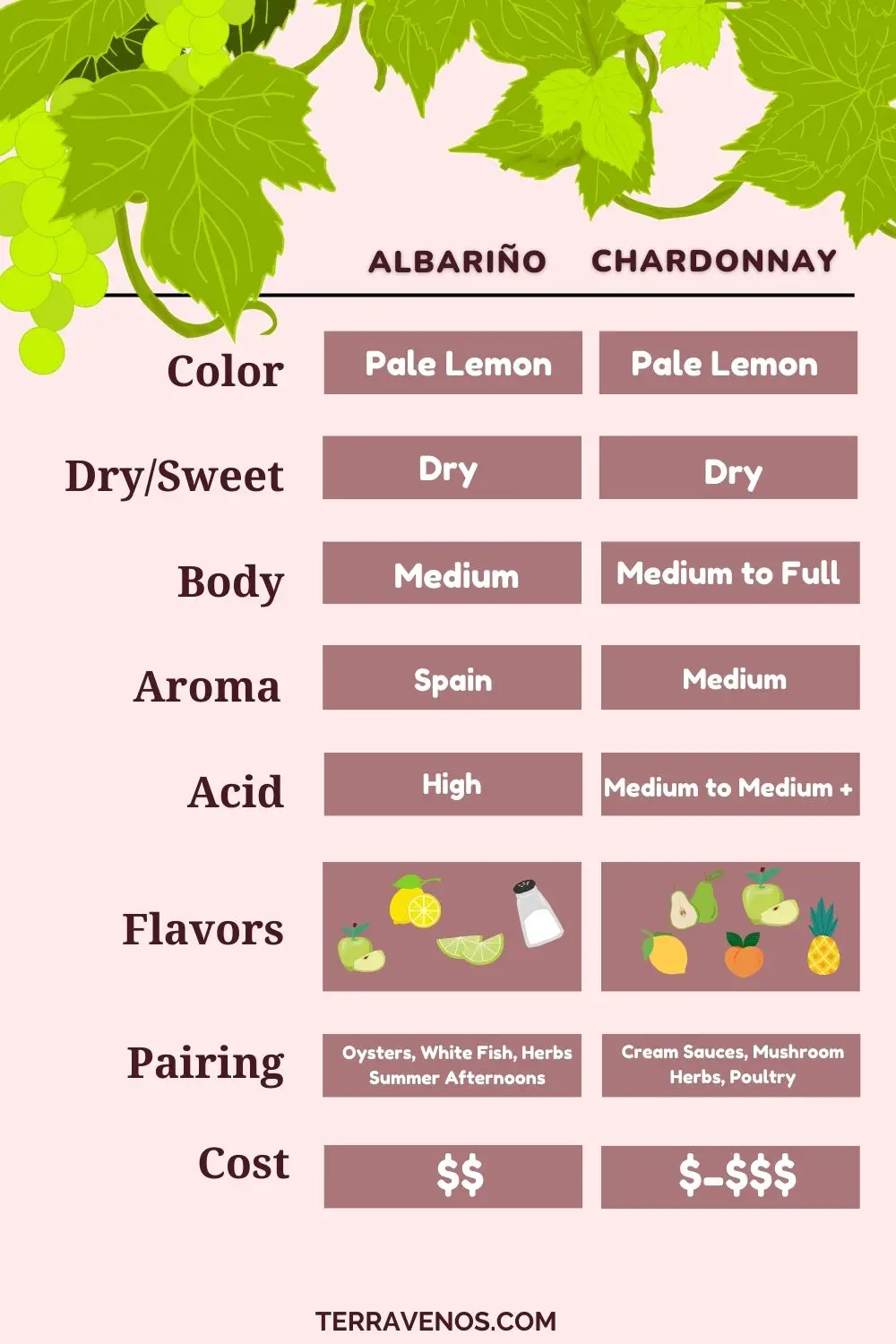 albarino-vs-chardonnay-wine-comparison-infographic