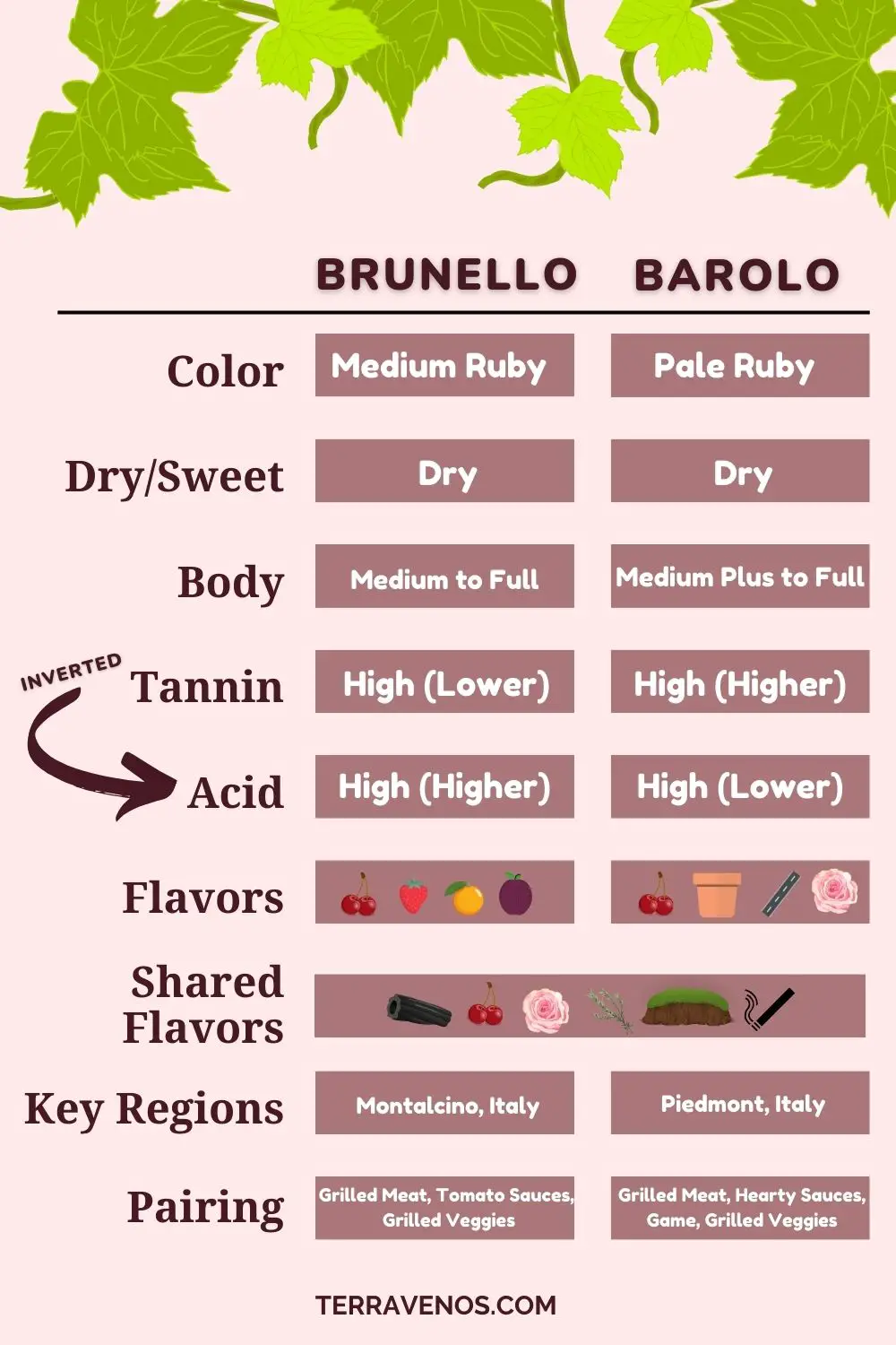 Barolo-vs-brunello-italian-wine-comparison-infographic