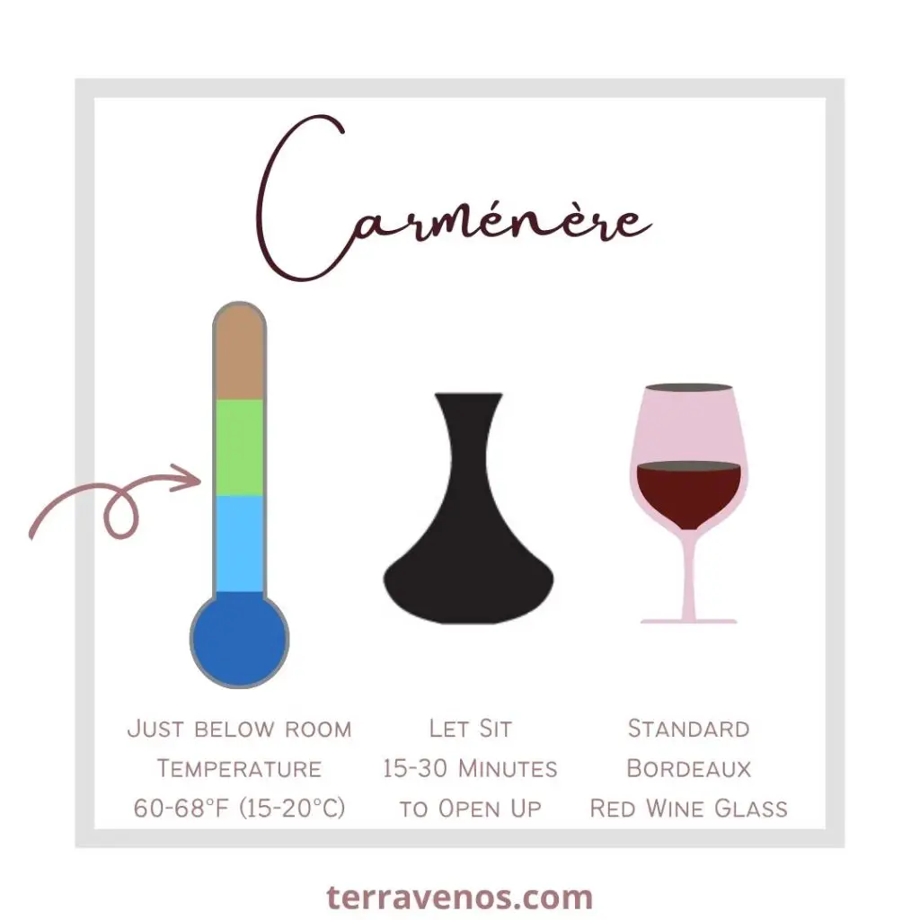 how to serve caremenere wine - caremenere serving temperature infographic