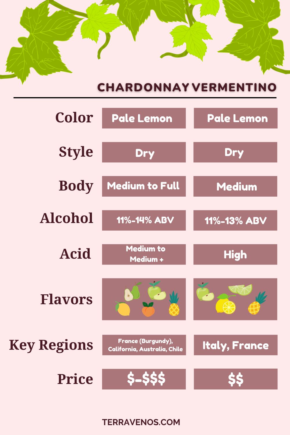 vermentino-vs-chardonnay-wine-comparison-infographic