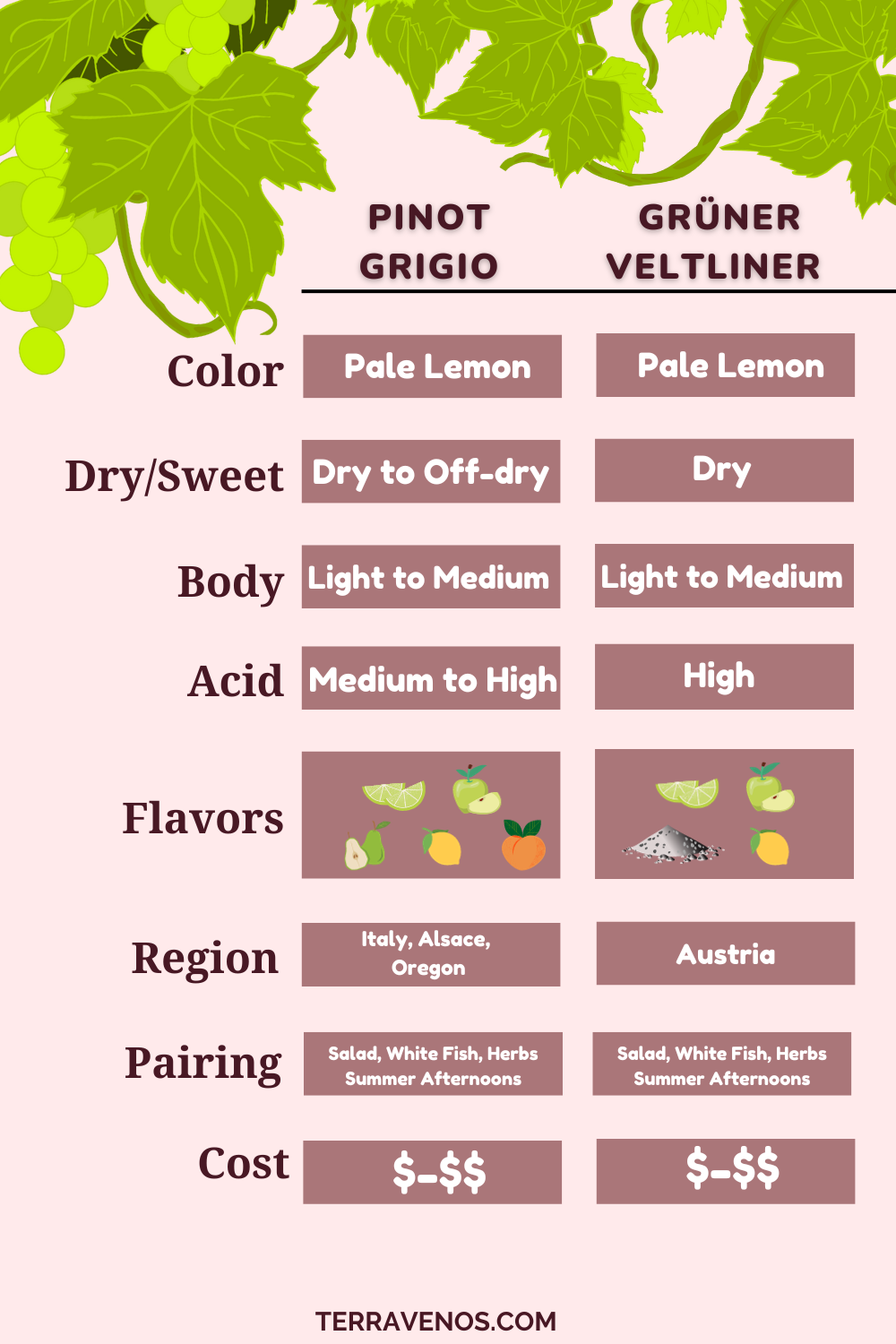 gruner-veltliner-vs-pinot-grigio-white-wine-comparison-infographic