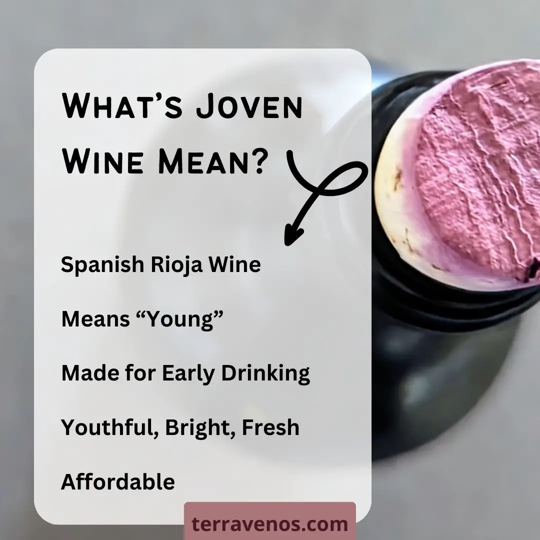 joven-wine-infographic