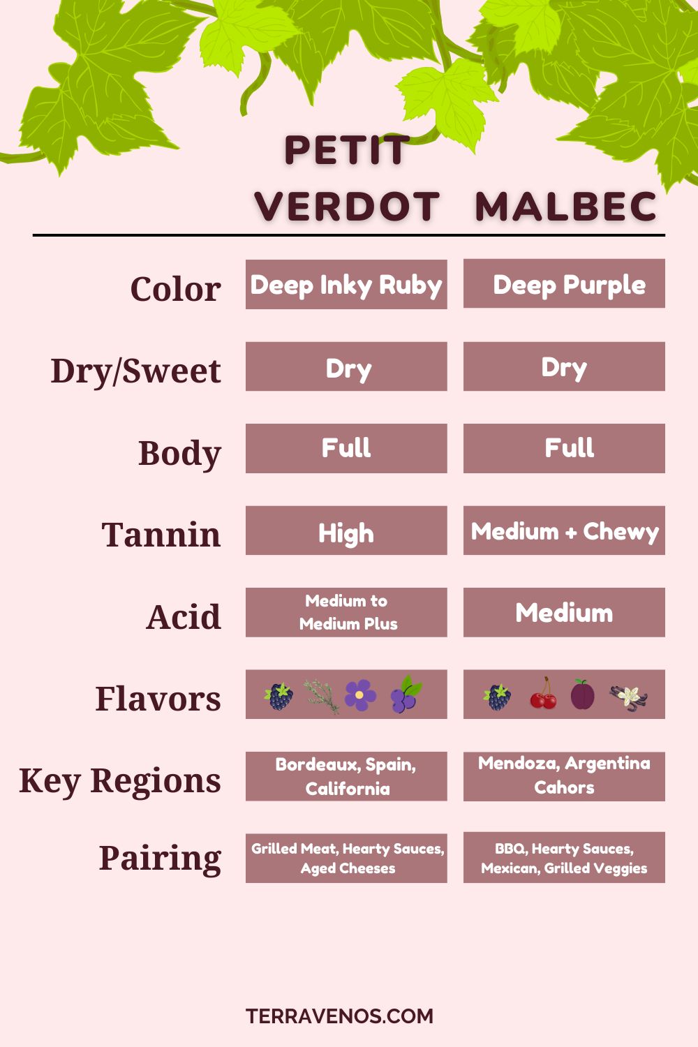 petit-verdot-vs-malbec-wine-comparison-infographic