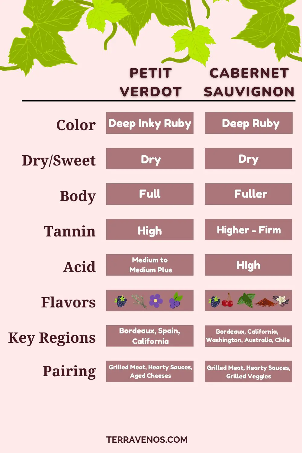 petit verdot vs cabernet sauvignon wine comparison infographic