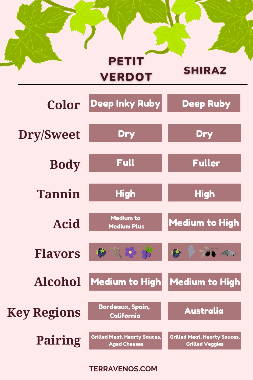 petit verdot vs shiraz wine comparison infographic