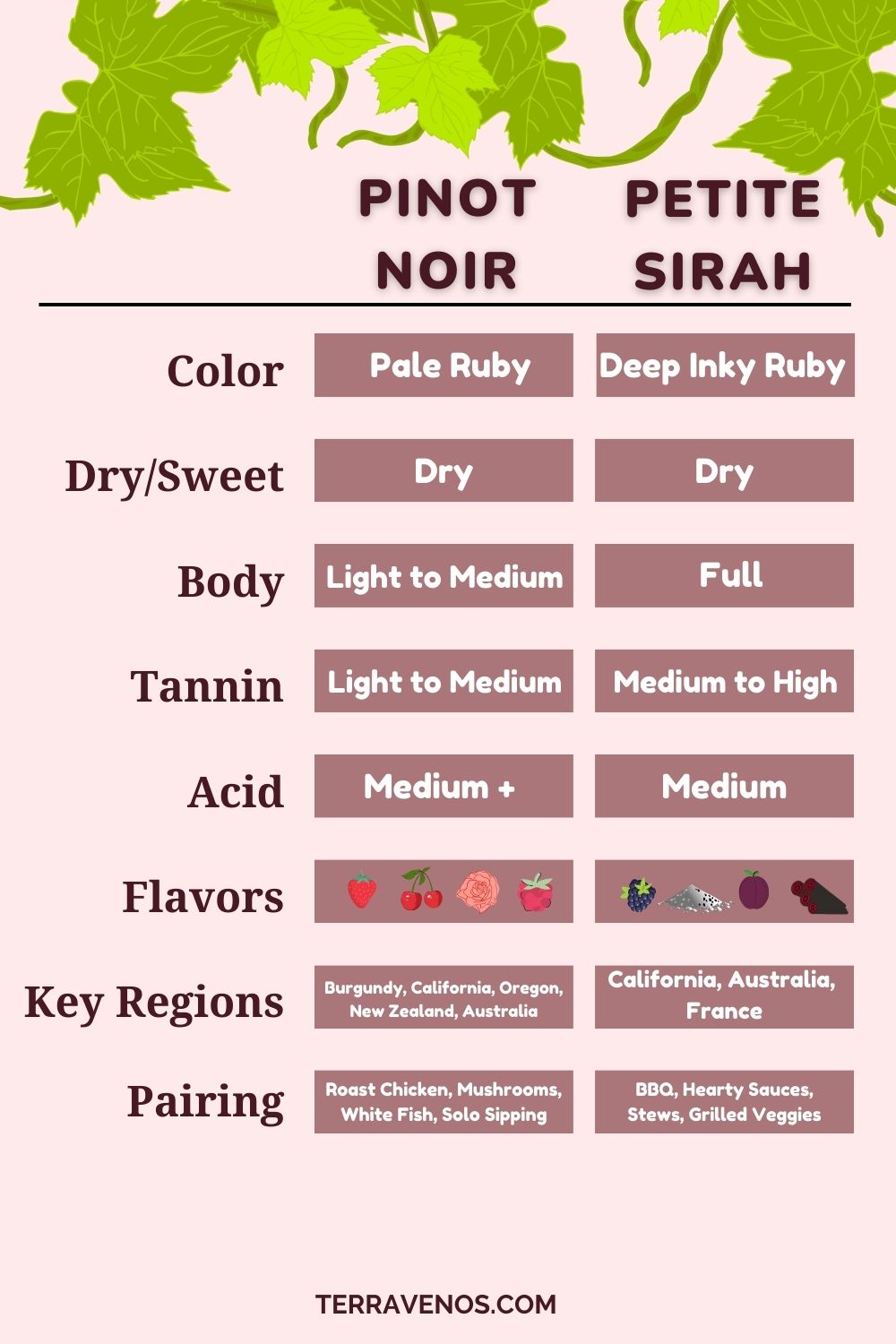 petite sirah vs pinot noir wine comparison infographic