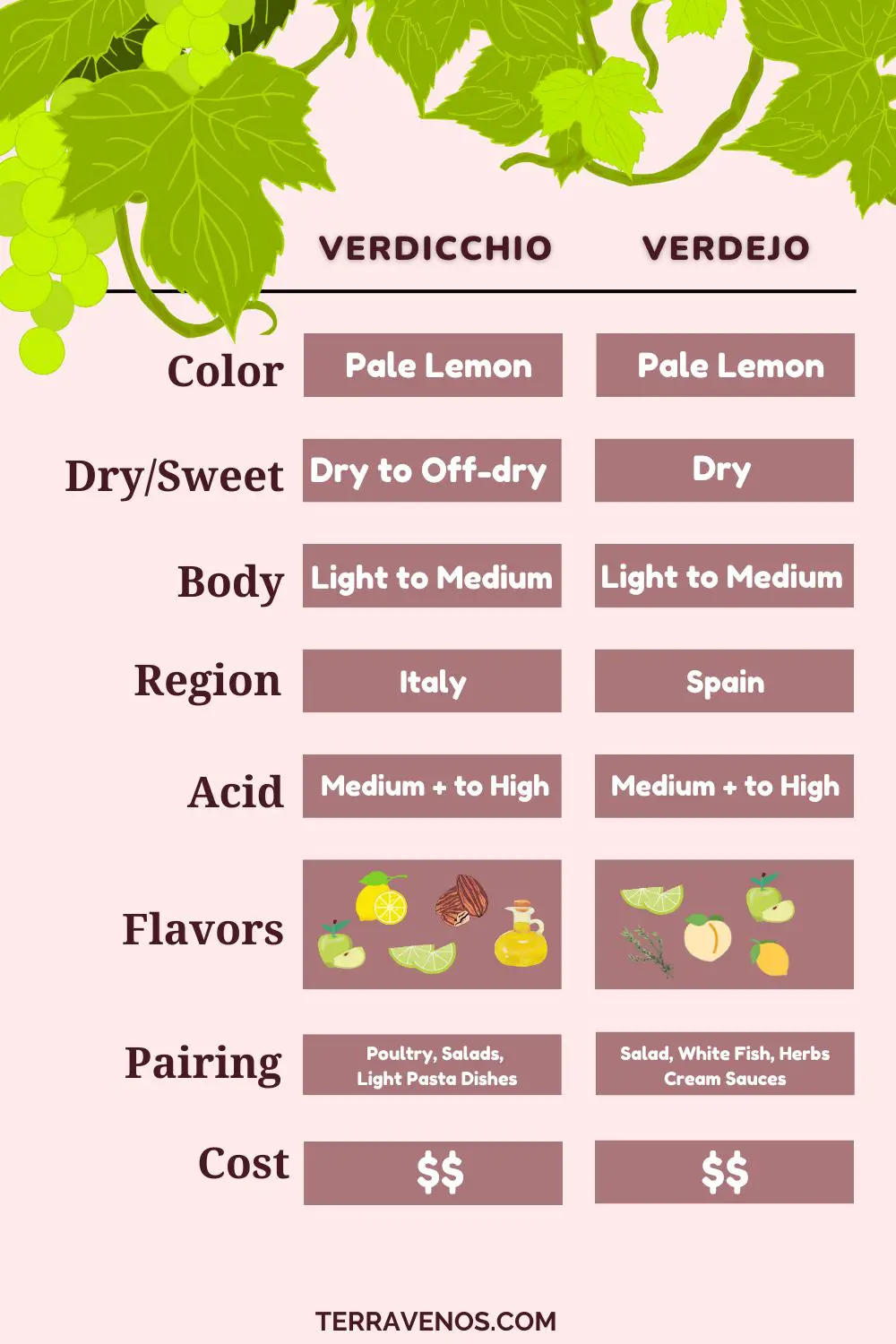 verdicchio vs verdejo wine comparison infographic