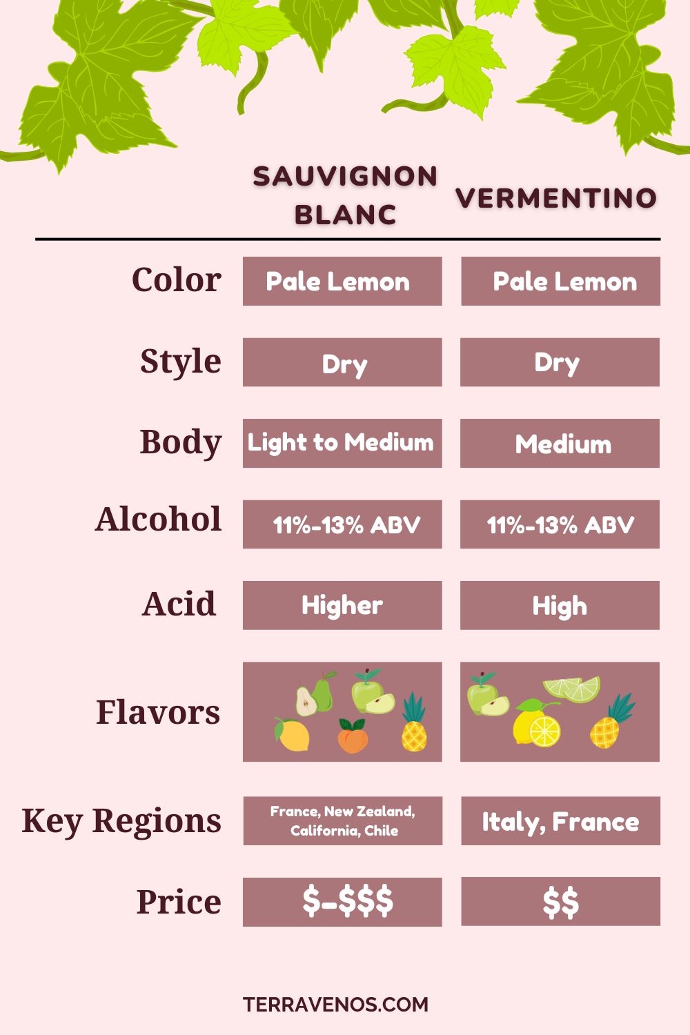 vermentino vs sauvignon blanc wine comparison infographic