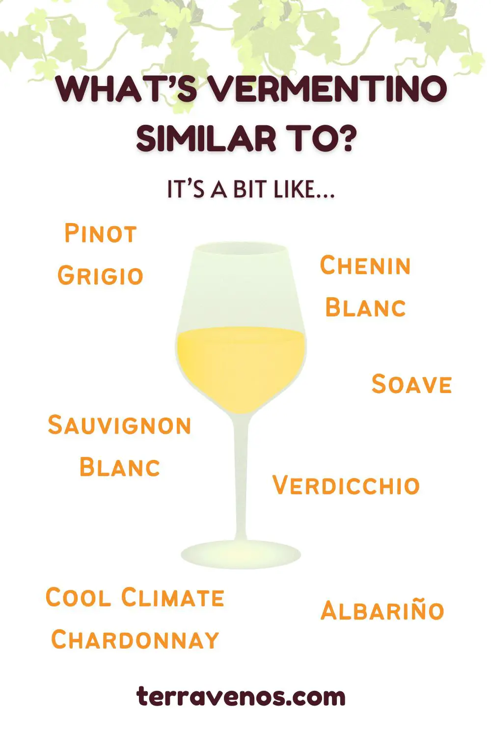 whats-vermentino-similar-to-infographic