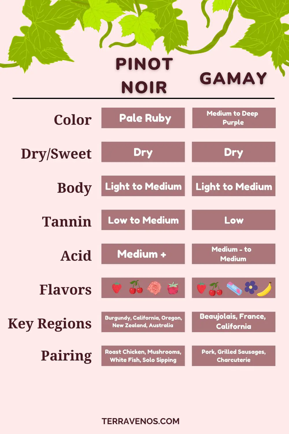 pinot-noir-vs-gamay-wine-comparison-infographic